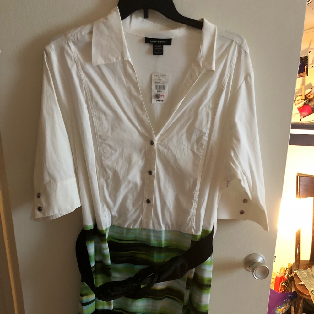 Ashley Stewart Dress